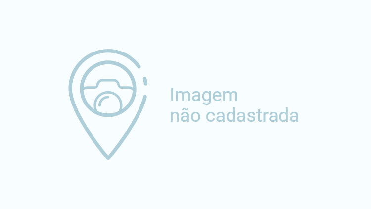 Caravana Allianz Parque - Palmeiras x Botafogo